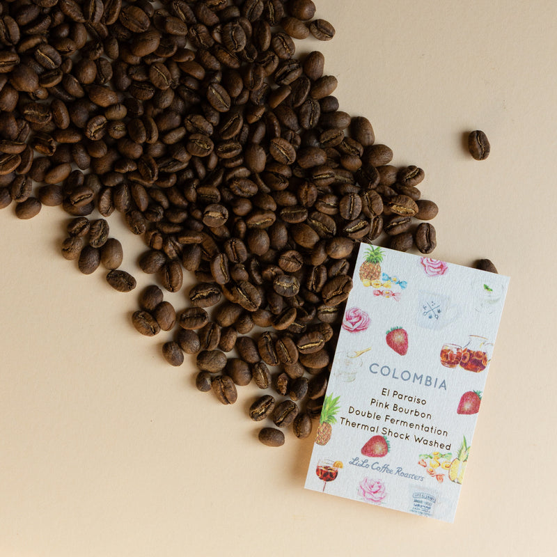 【2025/03/20】COLOMBIA El Paraiso Pink Bourbon Double Fermentation Thermal Shock Washed