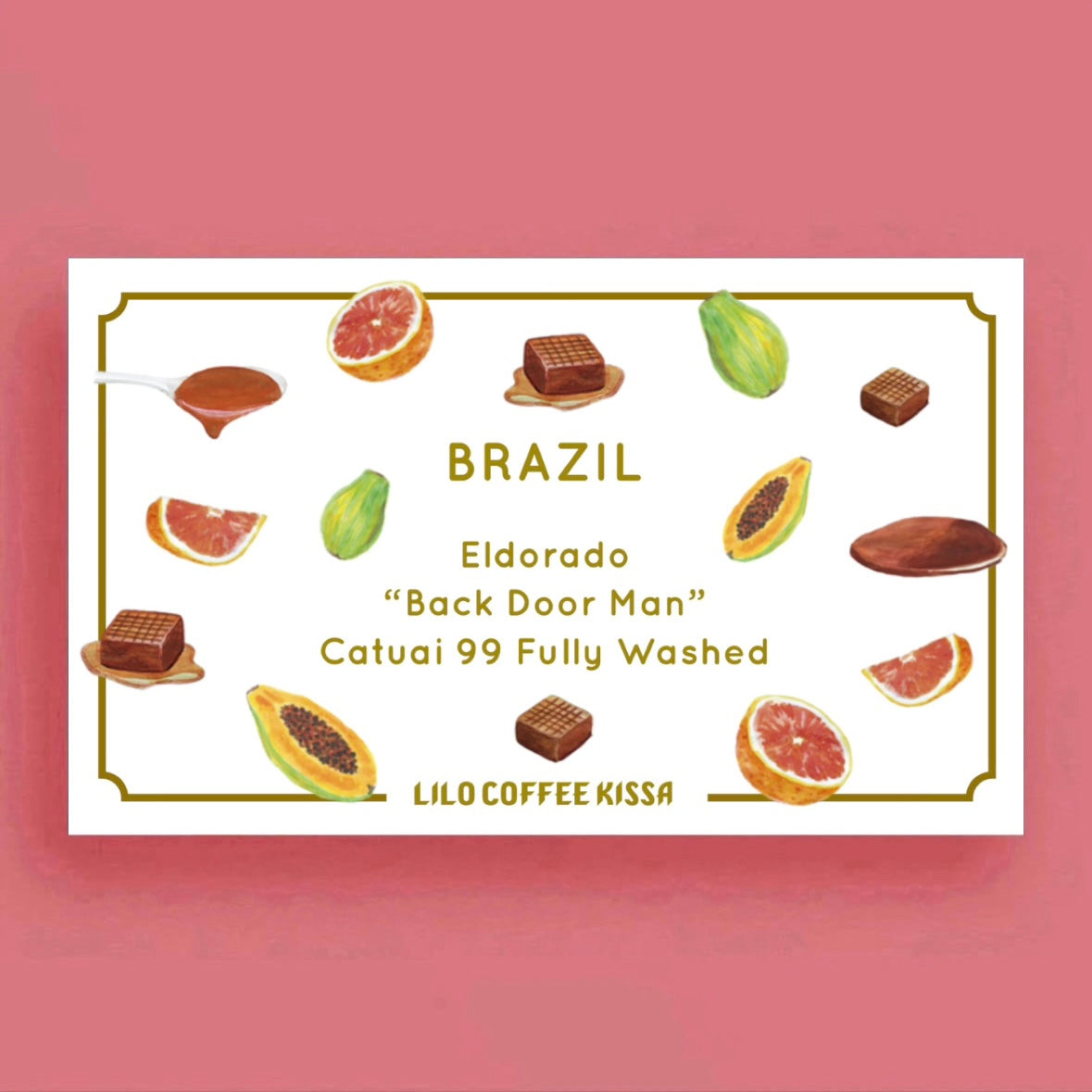 BRAZIL Eldorado "Back Door Man" Catuai 99 Fully Washed packshot