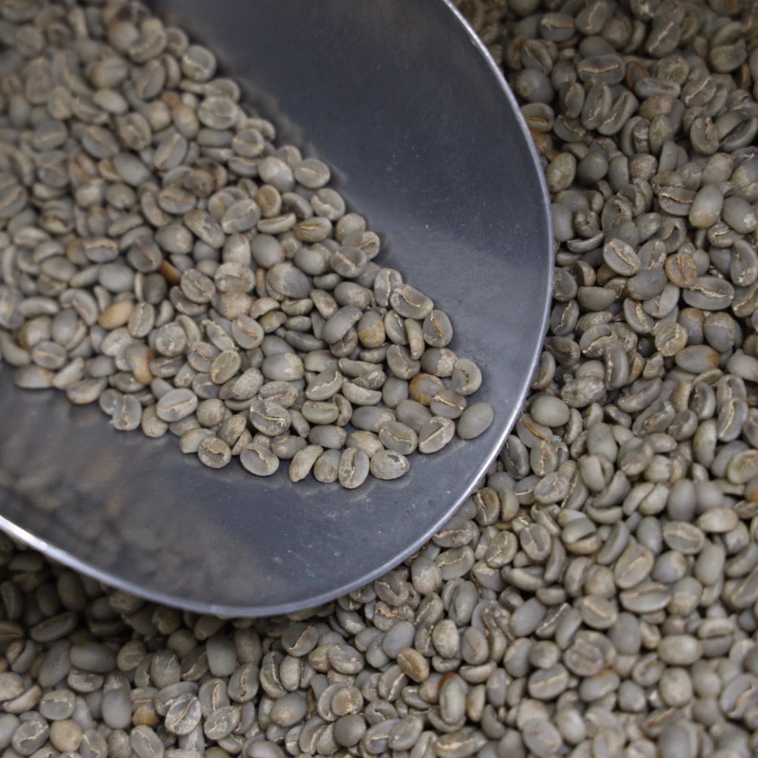 【Green beans】EAST TIMOR Asico (Domestic only)
