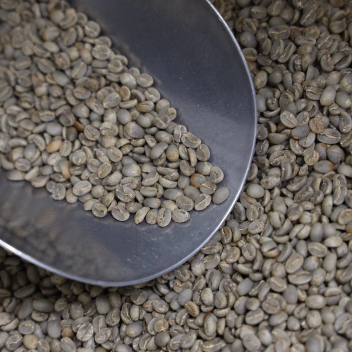【Green beans】EAST TIMOR Asico (Domestic only)