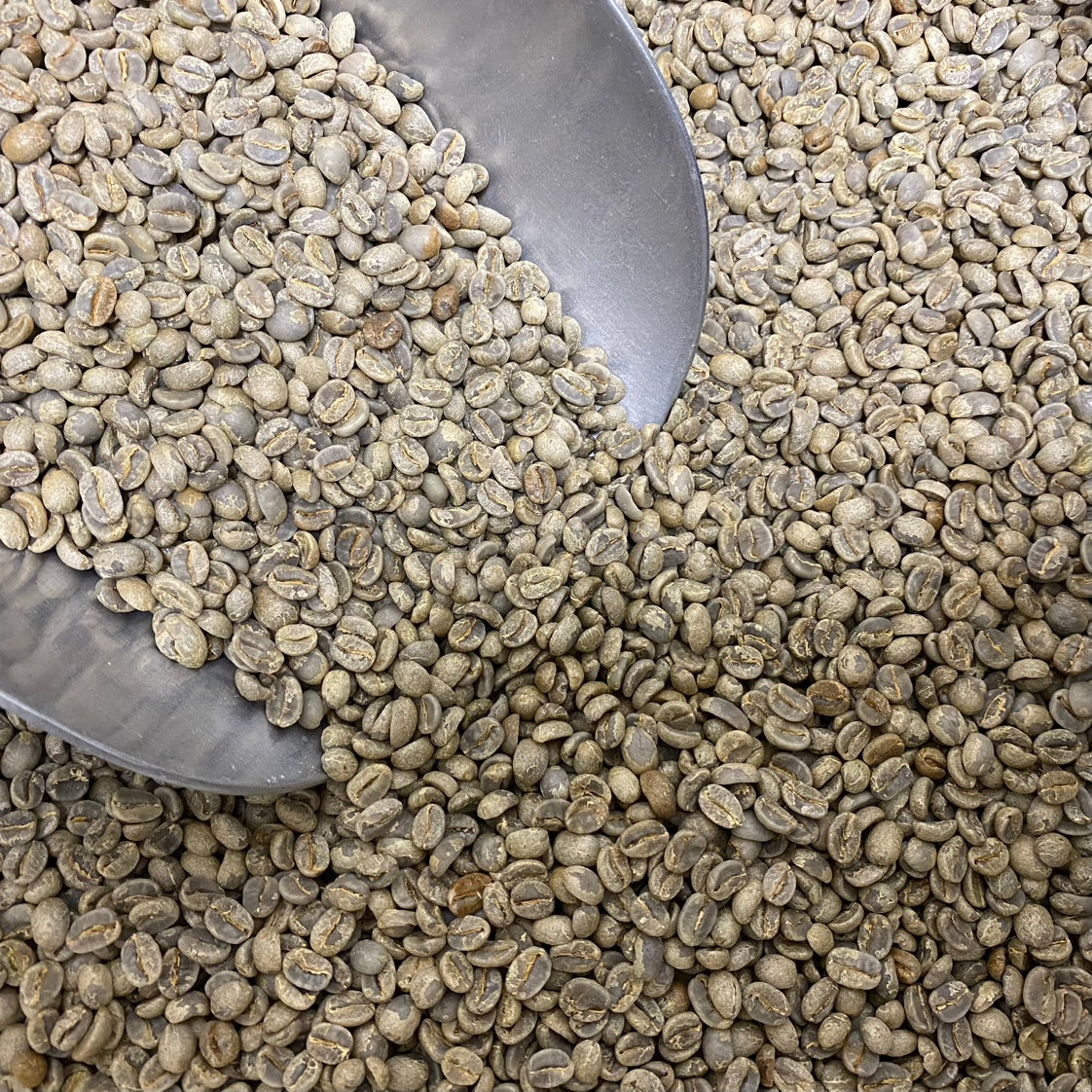 【Green beans】MYANMAR Kyauk Nget Red Honey (Domestic only)