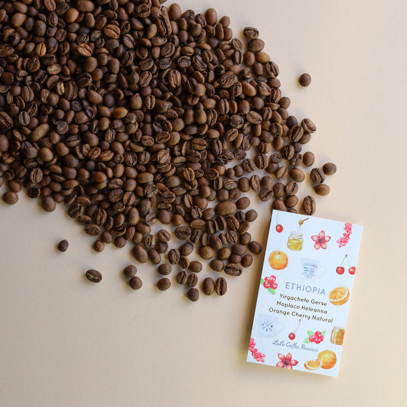 【2024/12/02】ETHIOPIA Yirgacheffe Gerse Orange Cherry Natural