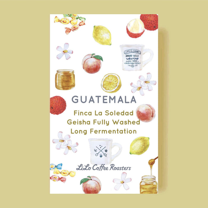 GUATEMALA Finca La Soledad Geisha Fully Washed Long Fermentation