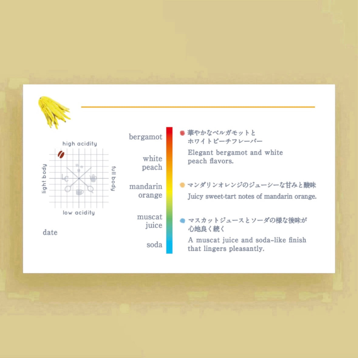 COLOMBIA Peñas Blancas  Geisha Fermented Washed