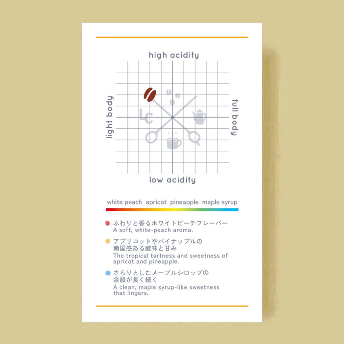 【LiLo COFFEE】COLORFUL Blend ~Summer~