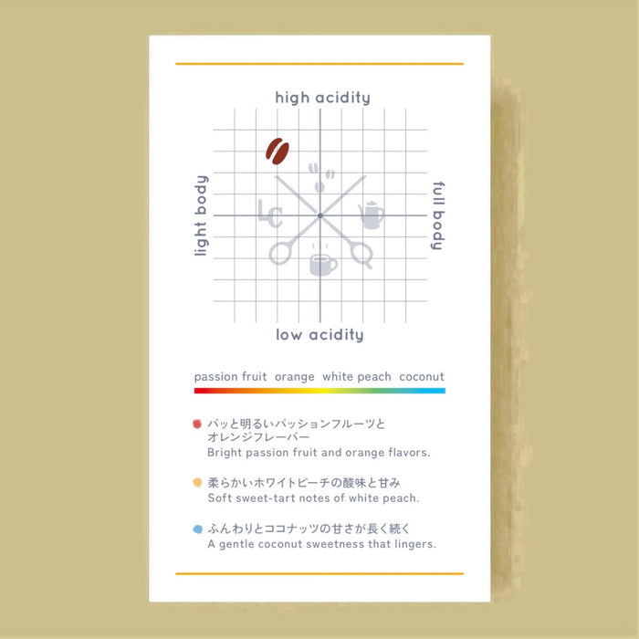 LiLo COFFEE COLORFUL Blend ~2026 Summer~