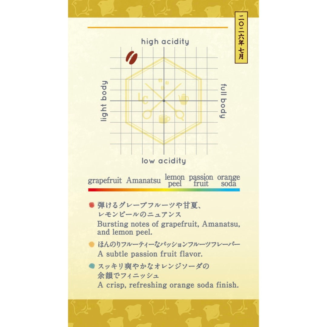 【Seasonal Blend 2026】July | Asobi-Chidori Blend (遊千鳥)