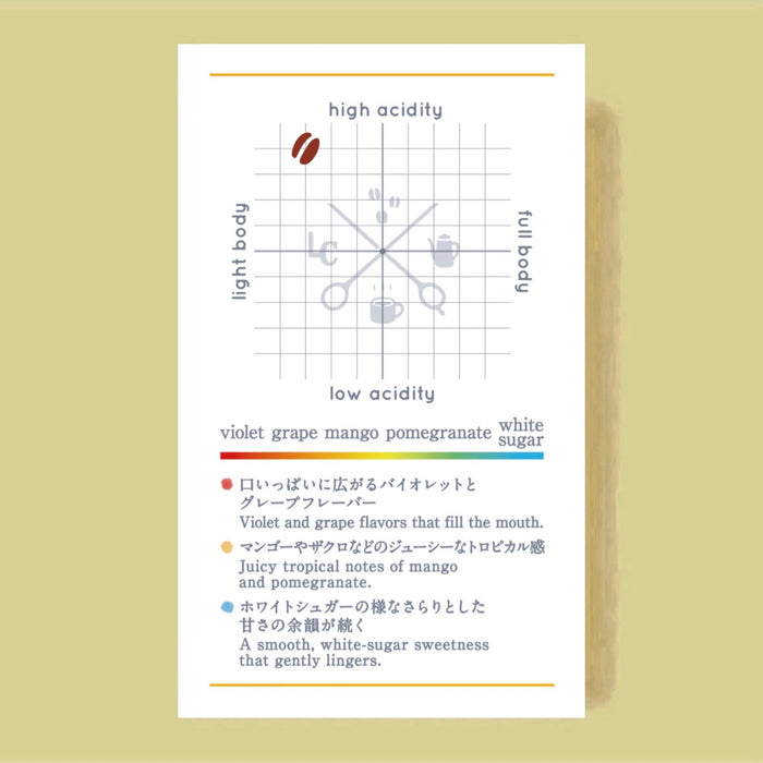 BRAZIL Ama Project Luiz Paulo & Sasa Sestic Geisha Carbonic Maceration Natural