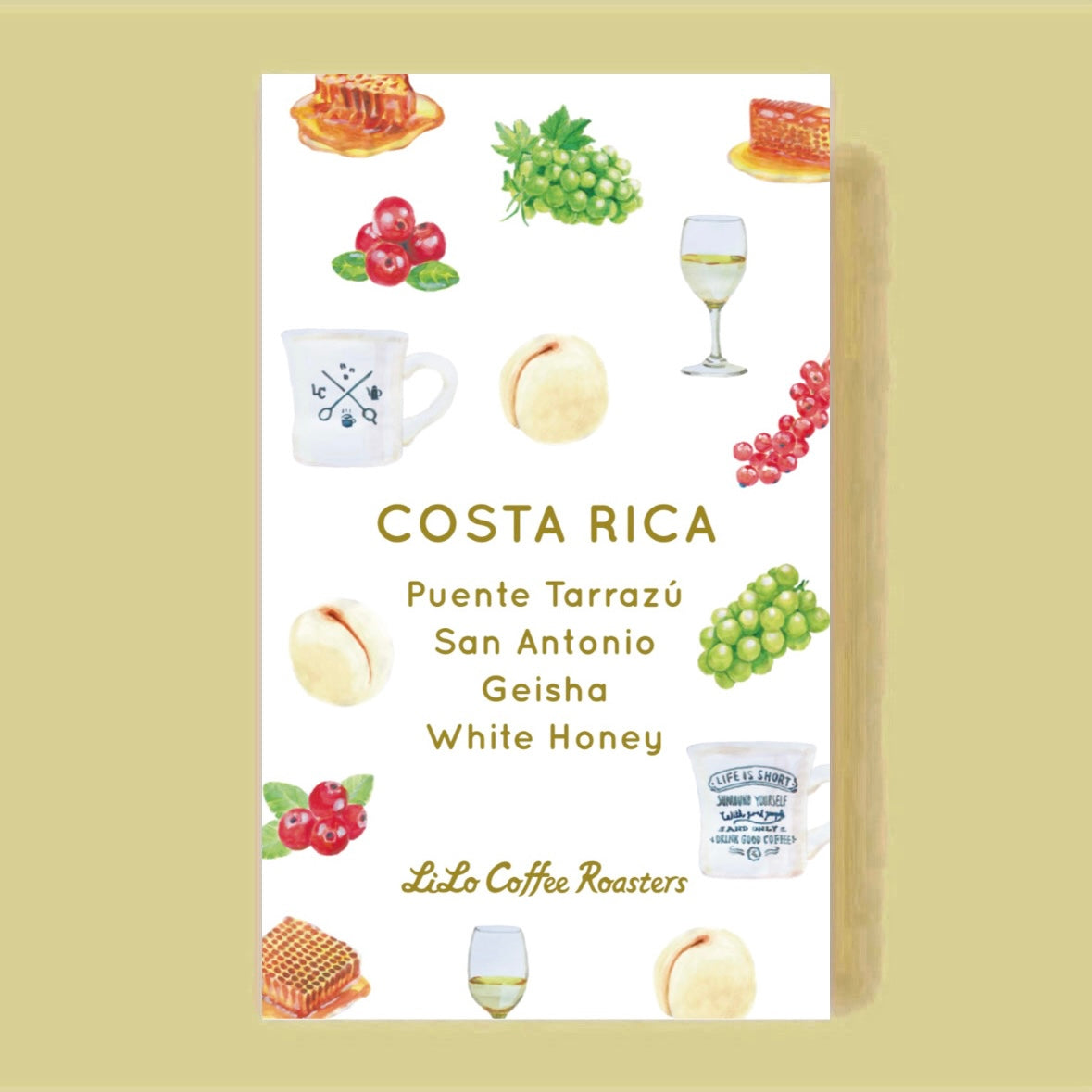 COSTA RICA Puente Tarrazú San Antonio Geisha