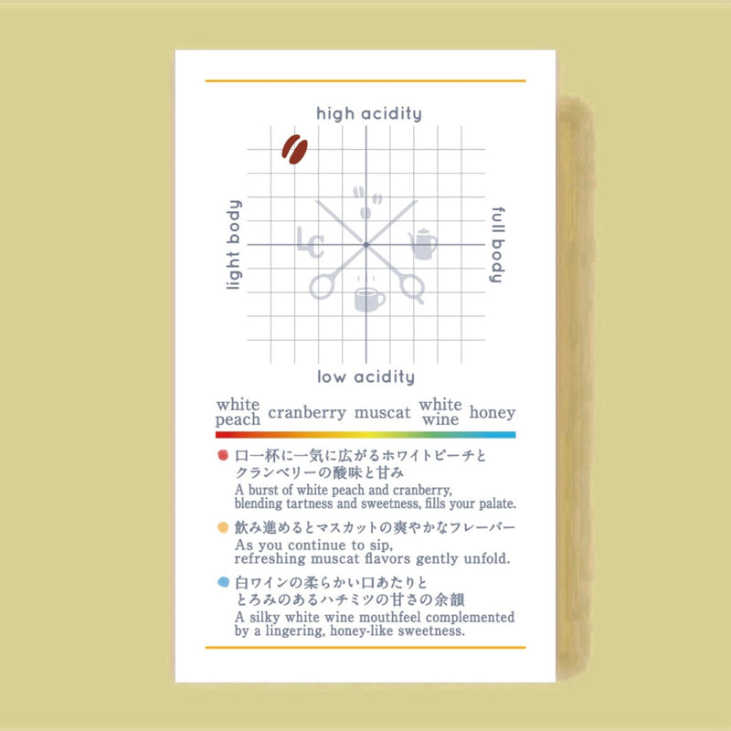 COSTA RICA Puente Tarrazú San Antonio Geisha