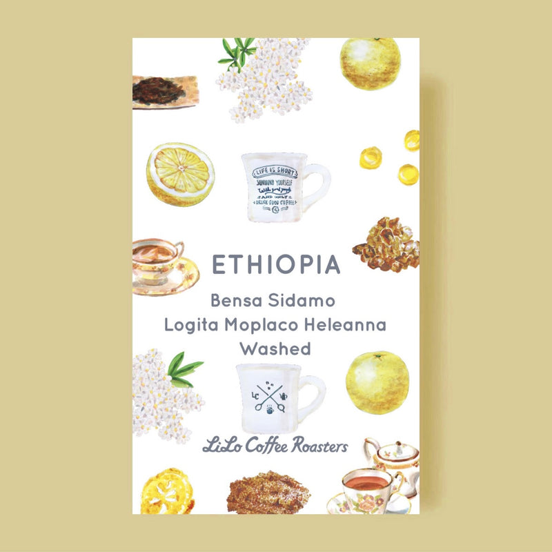 ETHIOPIA Bensa Sidamo Logita Moplaco Heleanna Washed