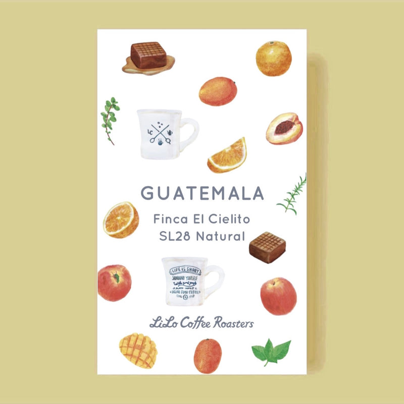 【Limited】GUATEMALA Finca El Cielito SL28 Natural