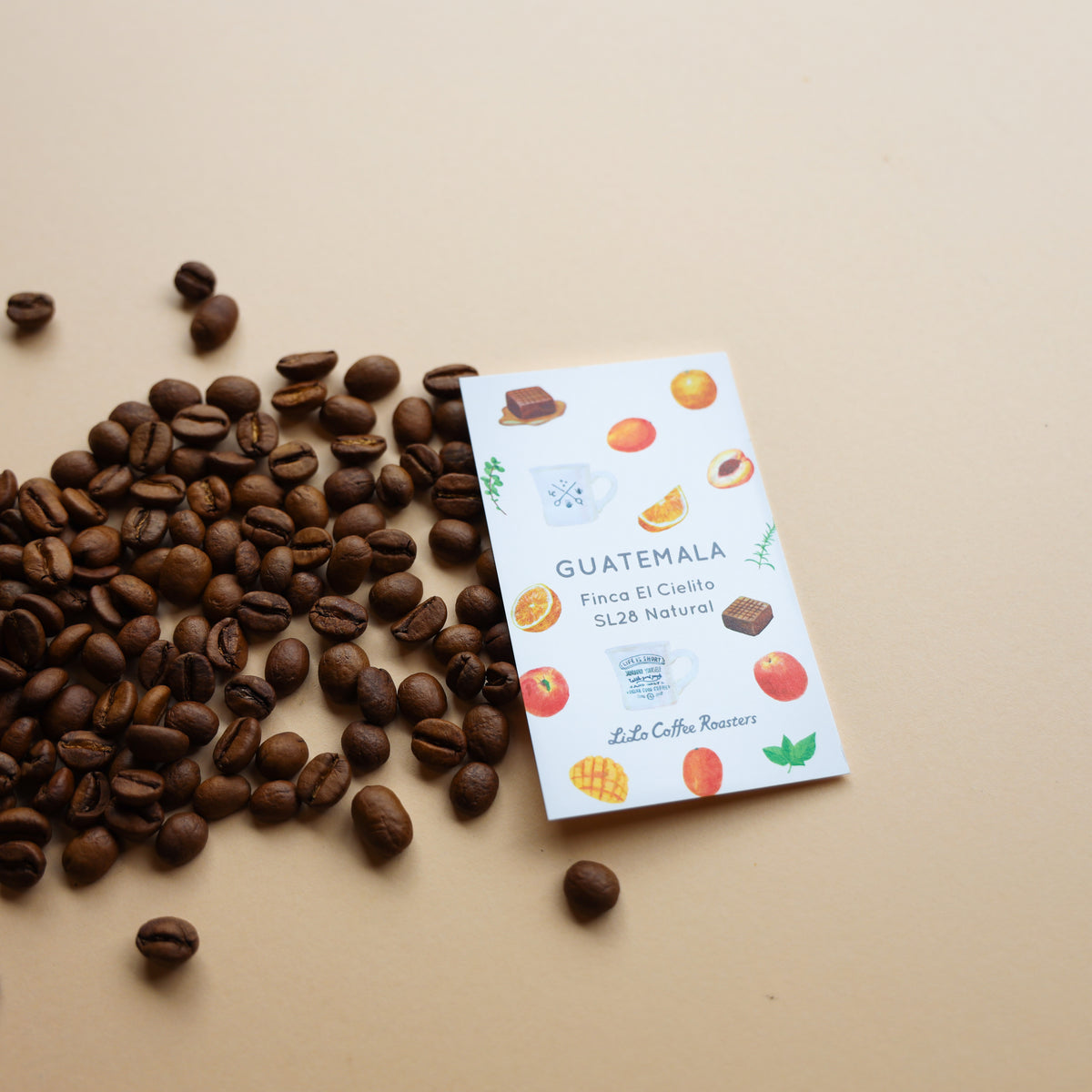 【Limited】GUATEMALA Finca El Cielito SL28 Natural