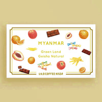 【喫茶】MYANMAR Green Land Geisha Natural
