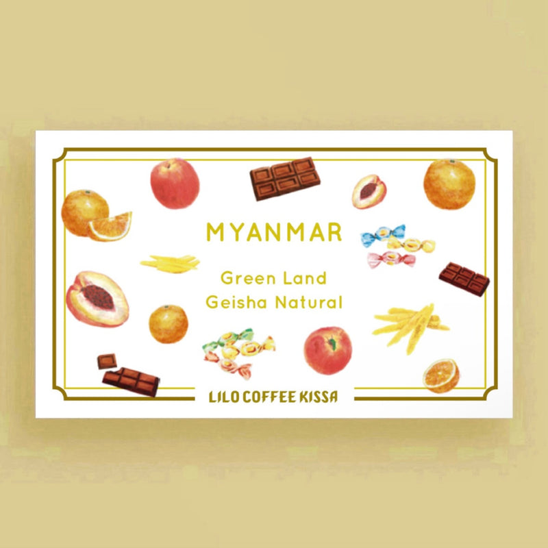 【喫茶】MYANMAR Green Land Geisha Natural
