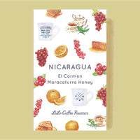 NICARAGUA El Carmen Maracaturra Honey