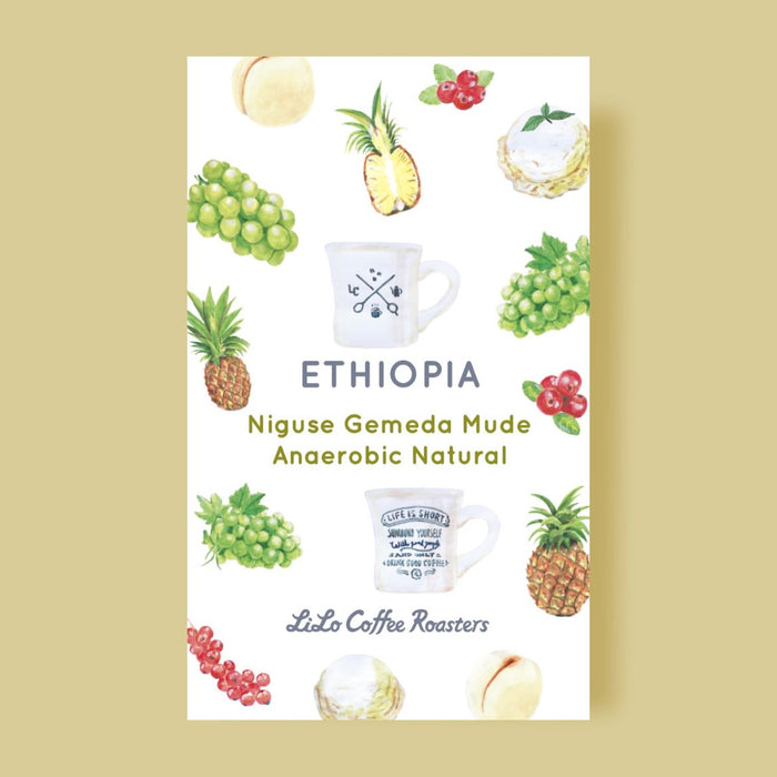 ETHIOPIA Niguse Gemeda Mude Anaerobic Natural