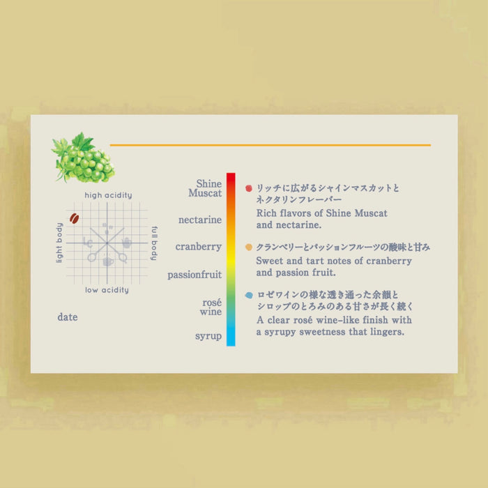 PANAMA Finca Auromar  Geisha Natural