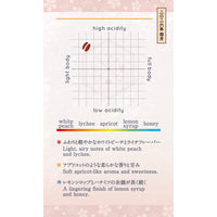 【Seasonal Blend 2026】April | Sakura-Gumo Blend (桜雲)