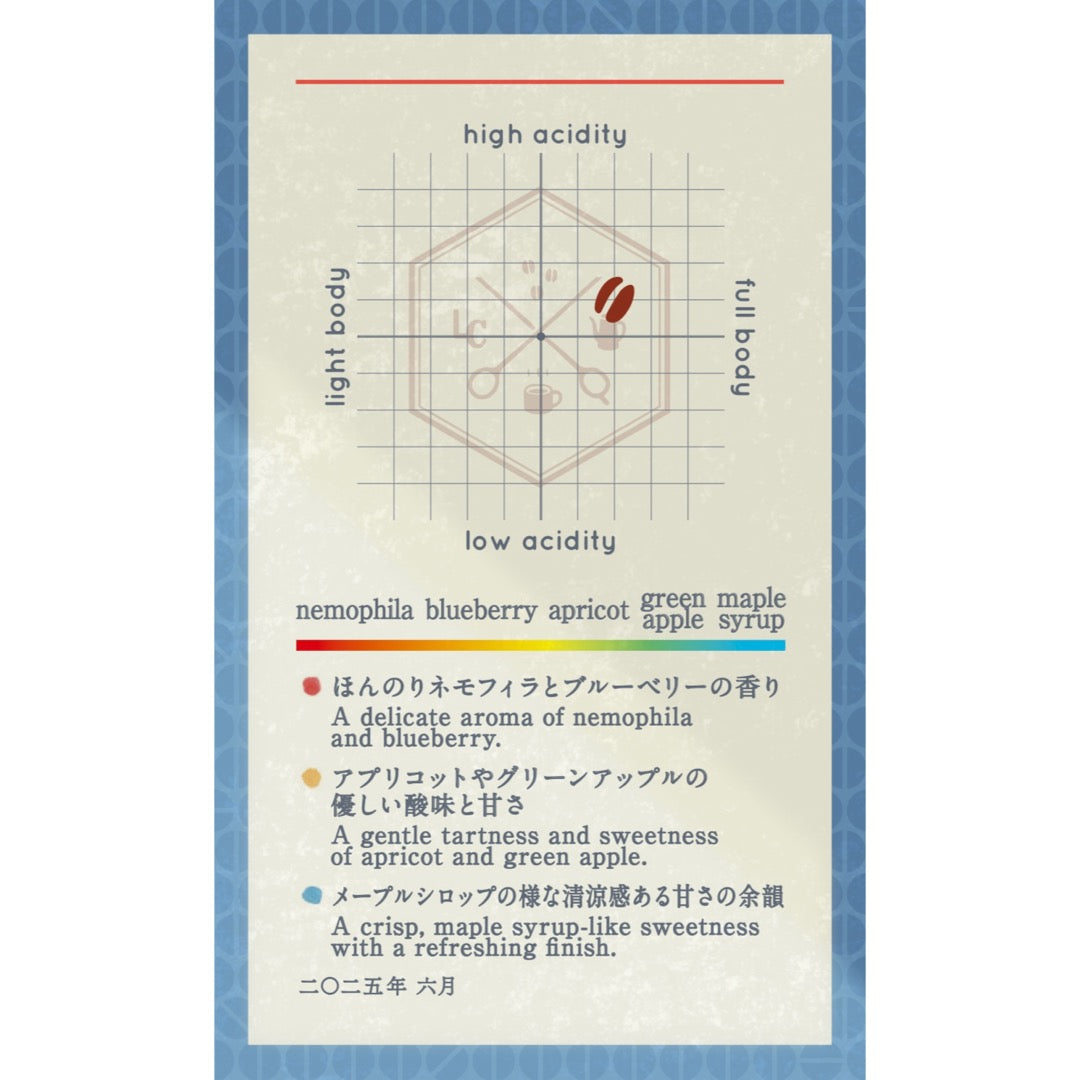 【Seasonal Blend 2025.6】Seirei-Ryusen Blend ~静嶺流泉~