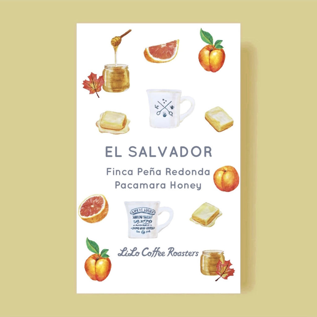 Photo of 【Limited】EL SALVADOR Finca Peña Redonda Pacamara Honey