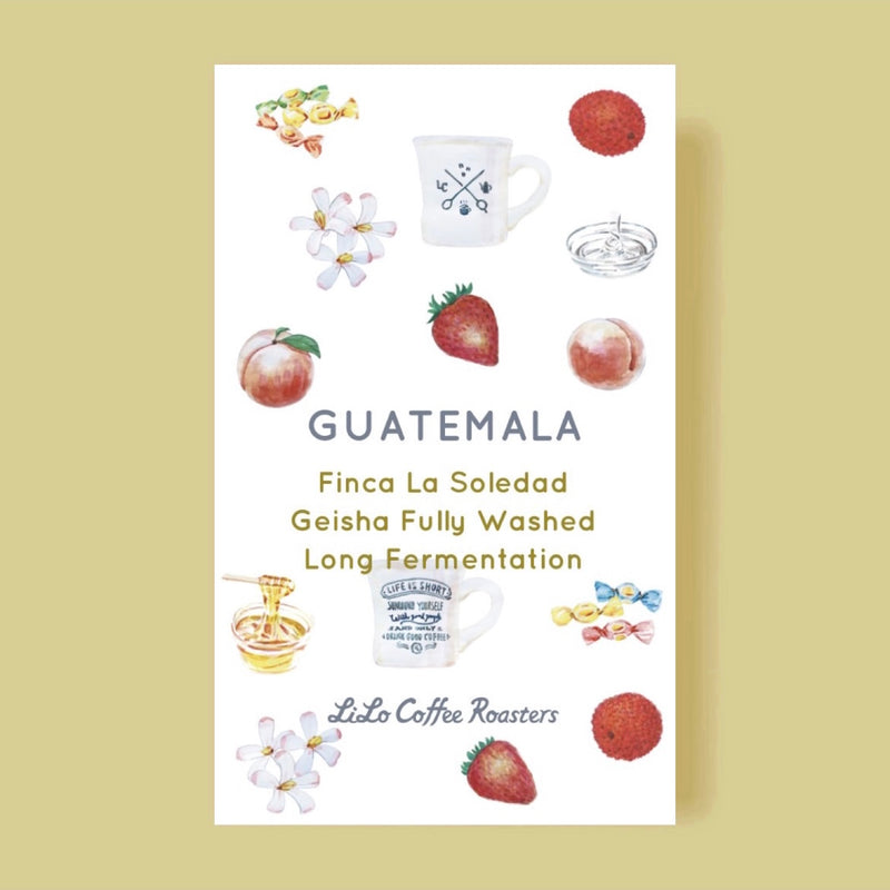 【Extra Special Limited】GUATEMALA Finca La Soledad Geisha Fully Washed Long Fermentation