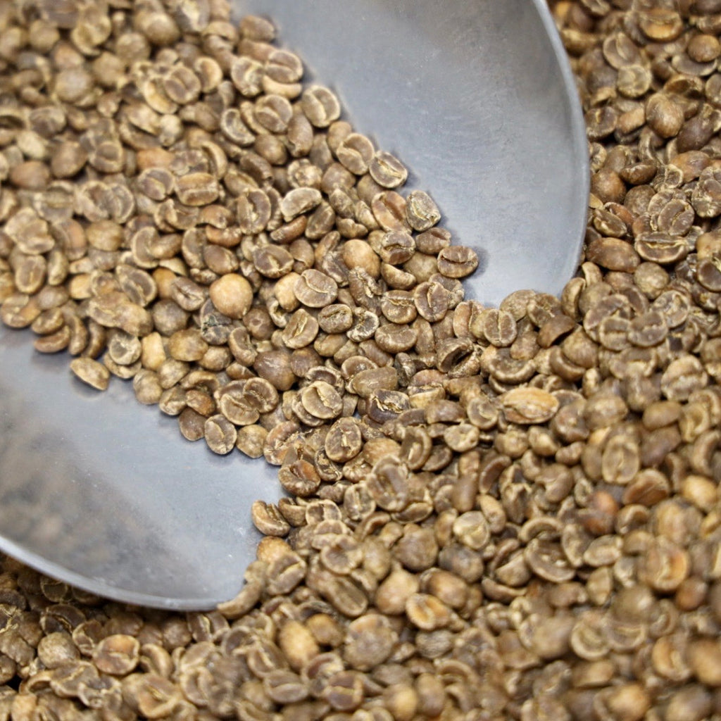 Photo of 【Green beans】"Decaf" MEXICO (Domestic only)
